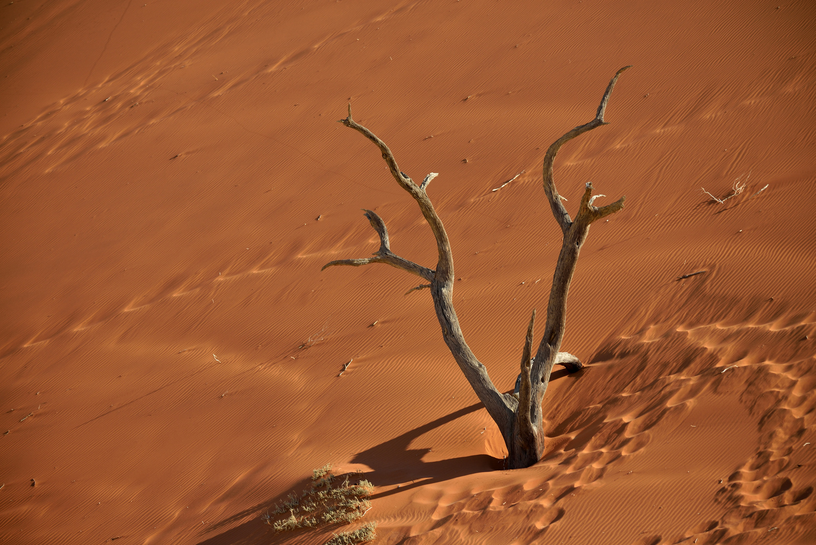 Deadvlei 06