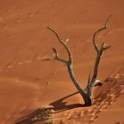 Deadvlei 06