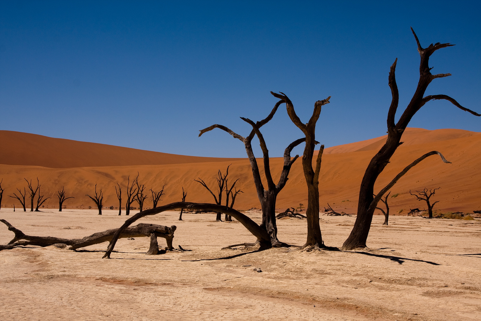 Deadvlei