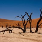 Deadvlei