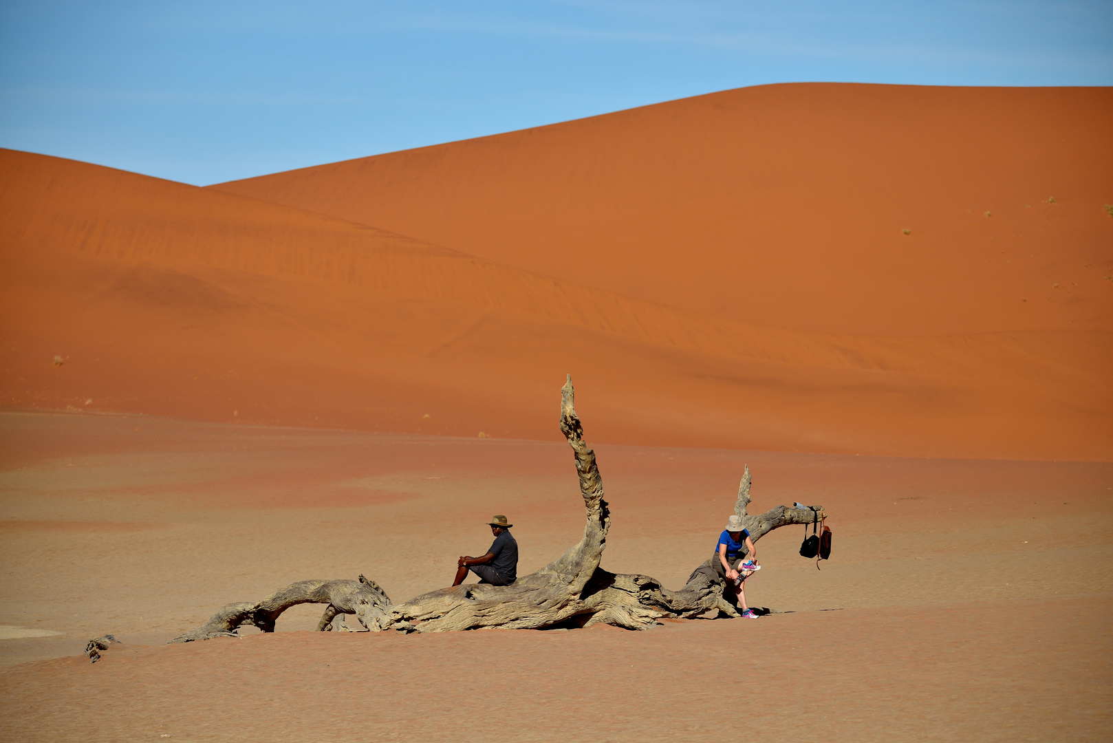 Deadvlei 07