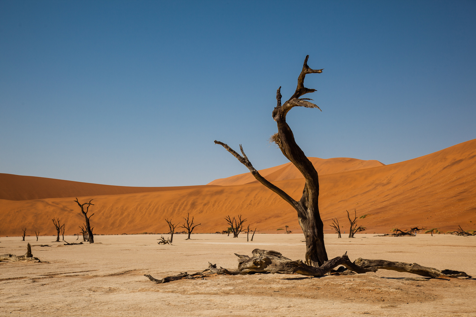 Deadvlei