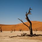 Deadvlei