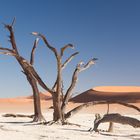 deadvlei