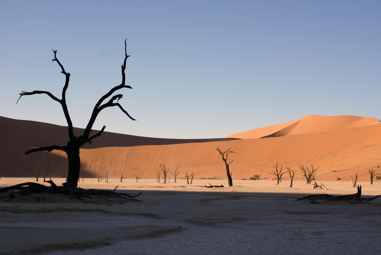 Deadvlei