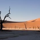 Deadvlei