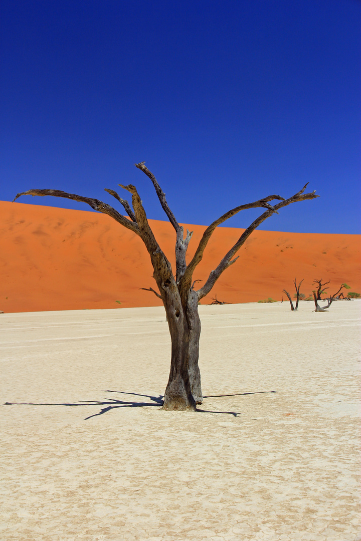 Deadvlei