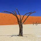 Deadvlei