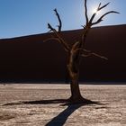 Deadvlei