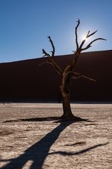 Deadvlei