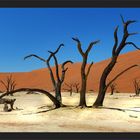 Deadvlei