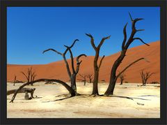 Deadvlei