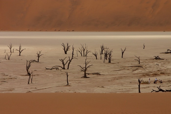 deadvlei