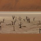 deadvlei