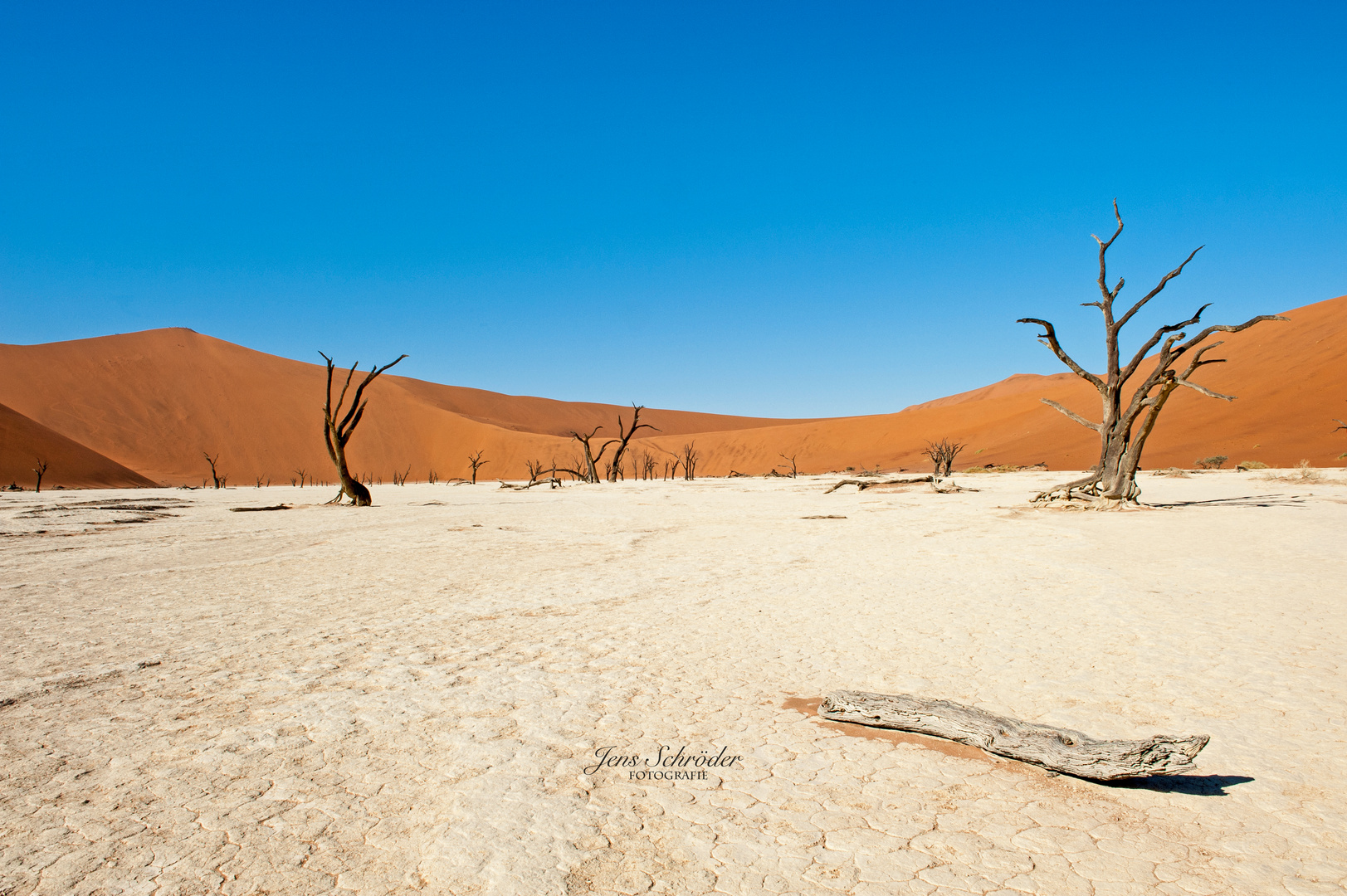 Deadvlei