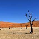 Deadvlei