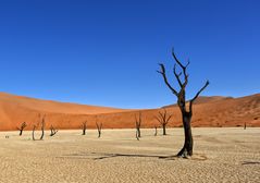 Deadvlei