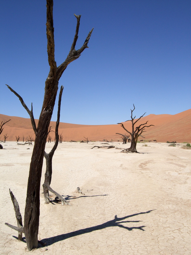 Deadvlei 1