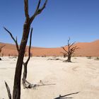 Deadvlei 1