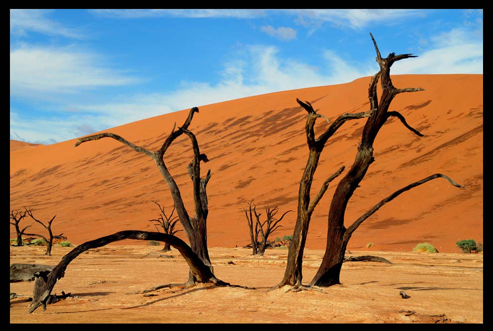 Deadvlei (1)