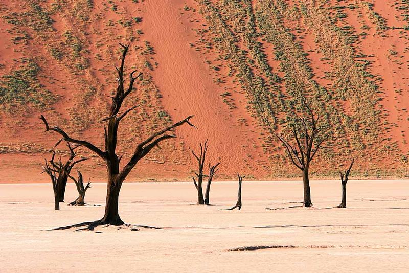 Deadvlei 1