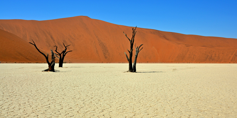 Deadvlei