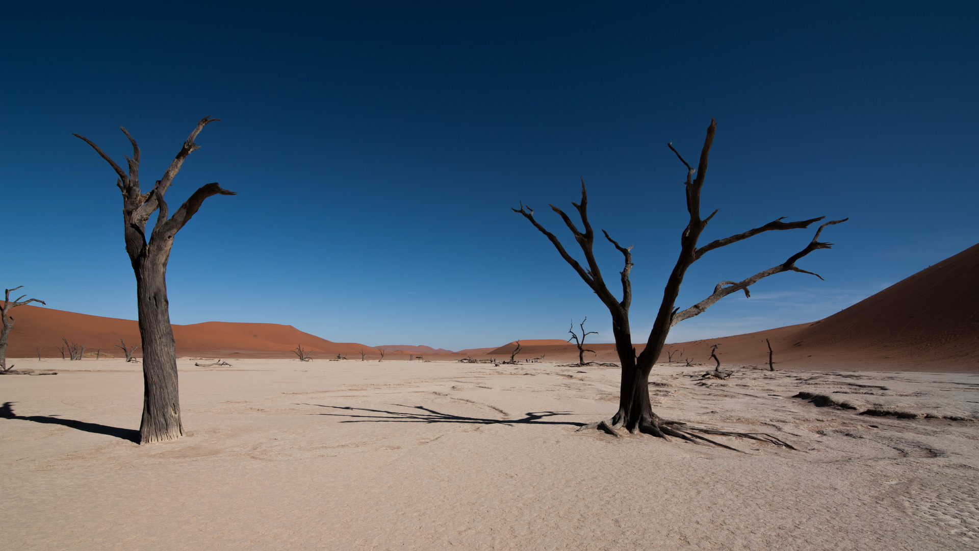 Deadvlei