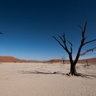 Deadvlei