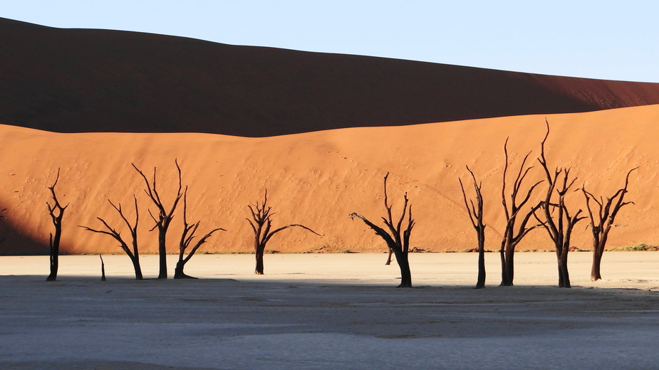 Deadvlei