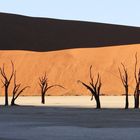 Deadvlei