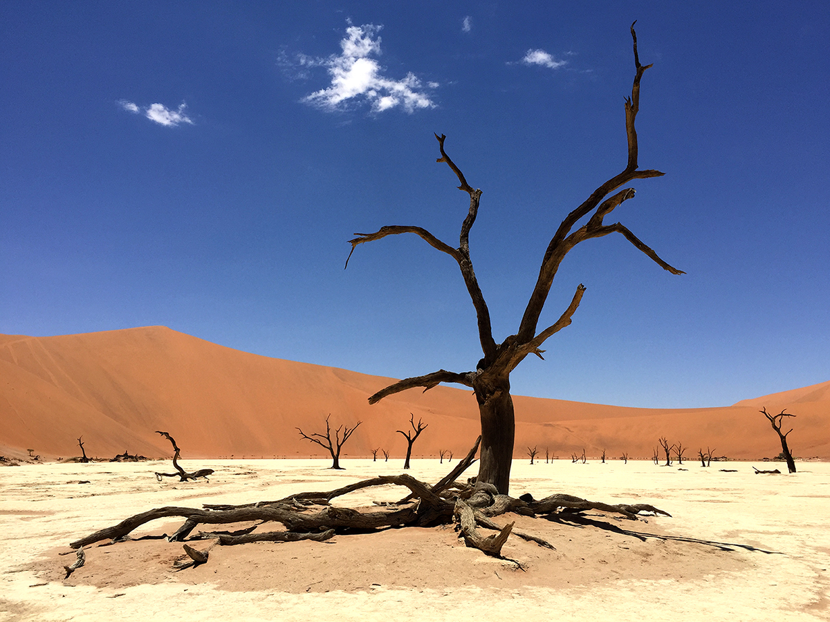 Deadvlei