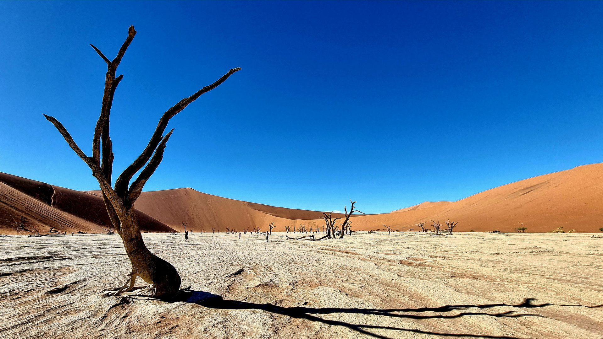 Deadvlei