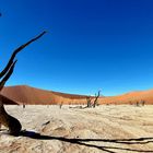 Deadvlei