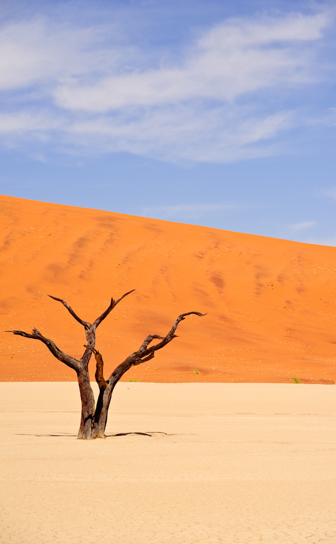 Deadvlei