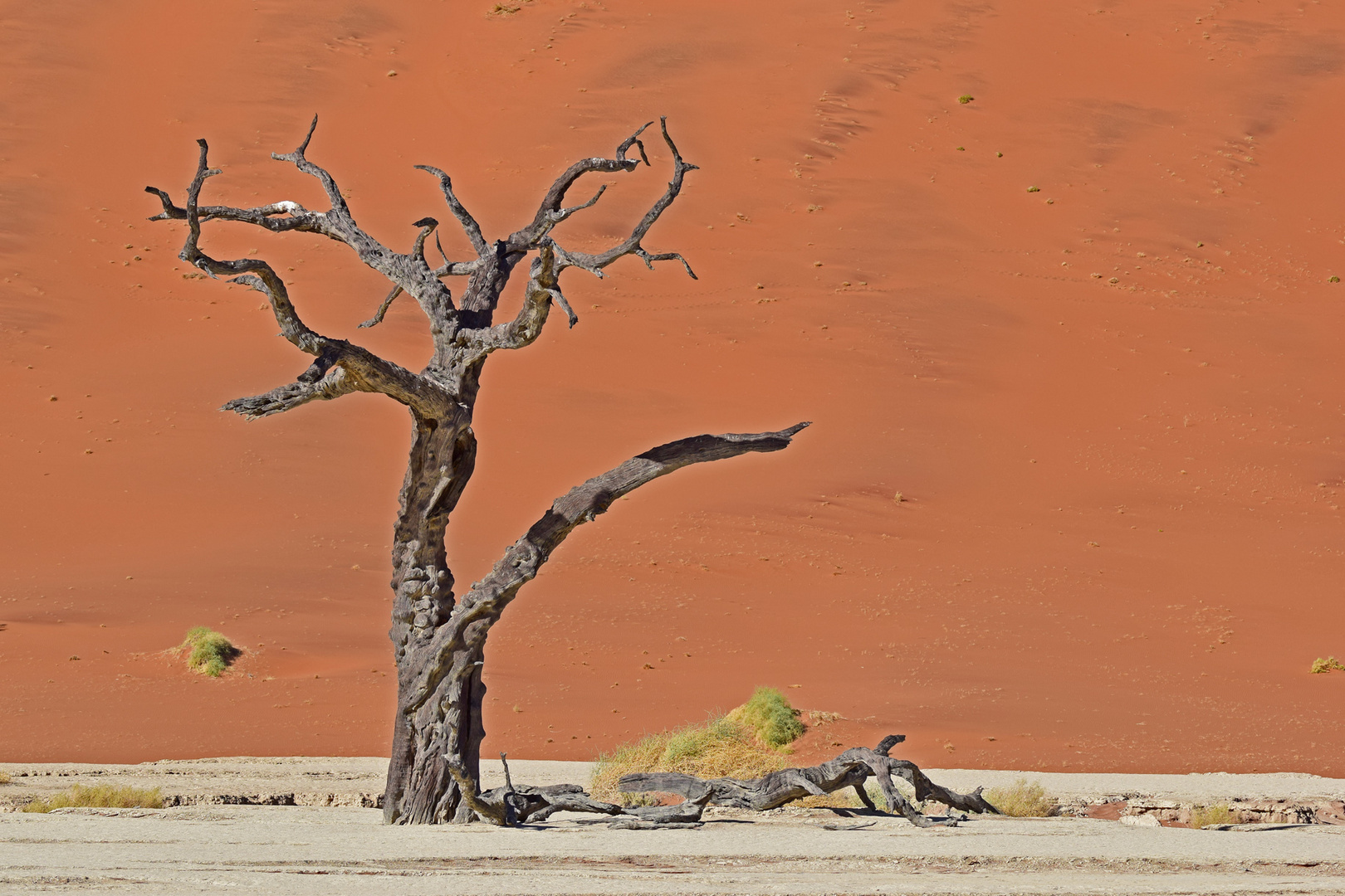 Deadvlei