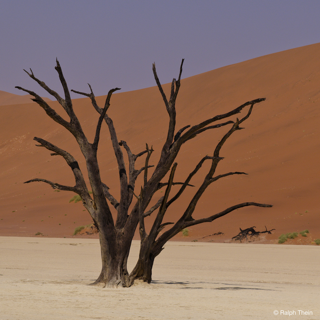 Deadvlei