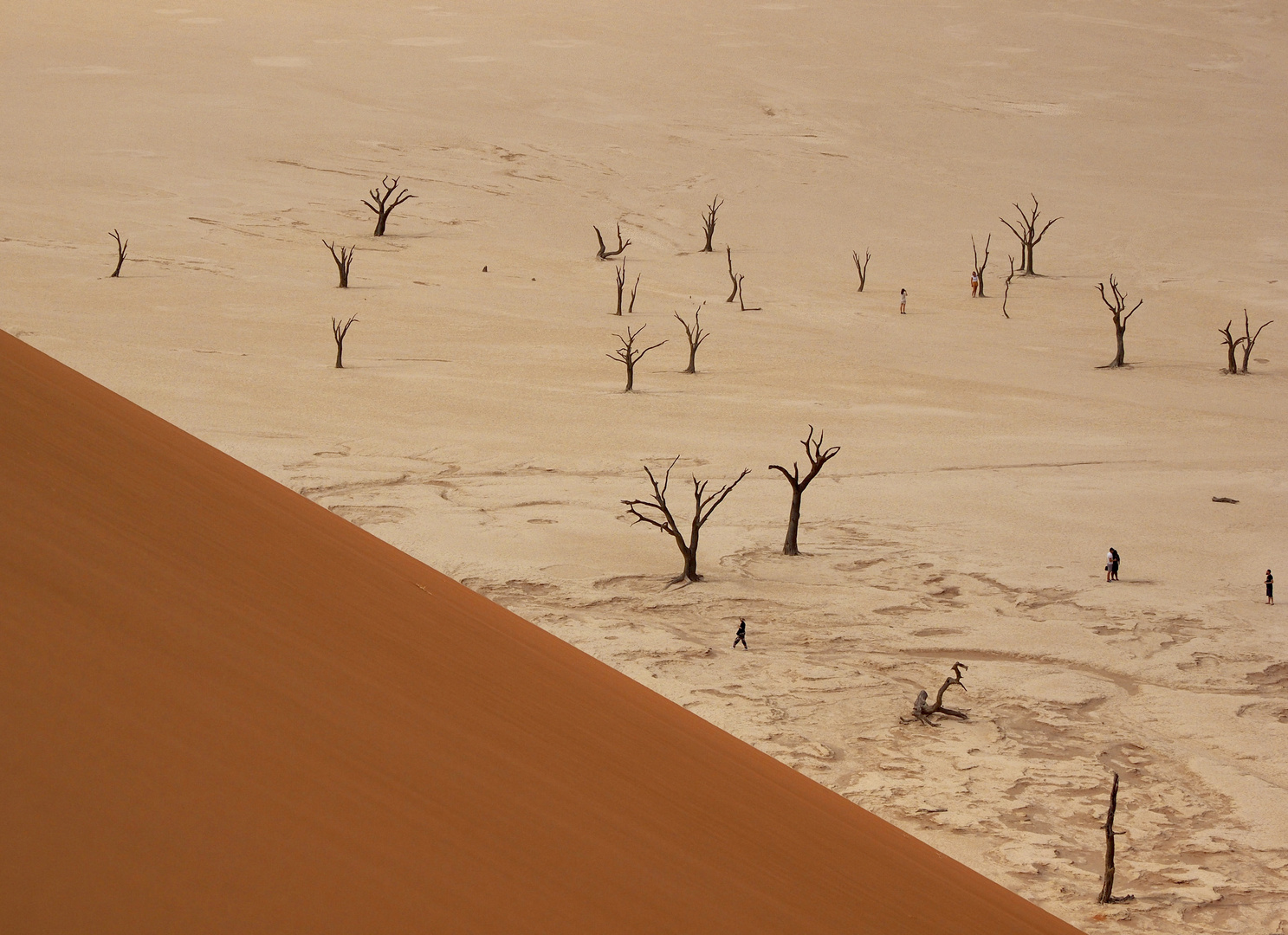 Deadvlei 2