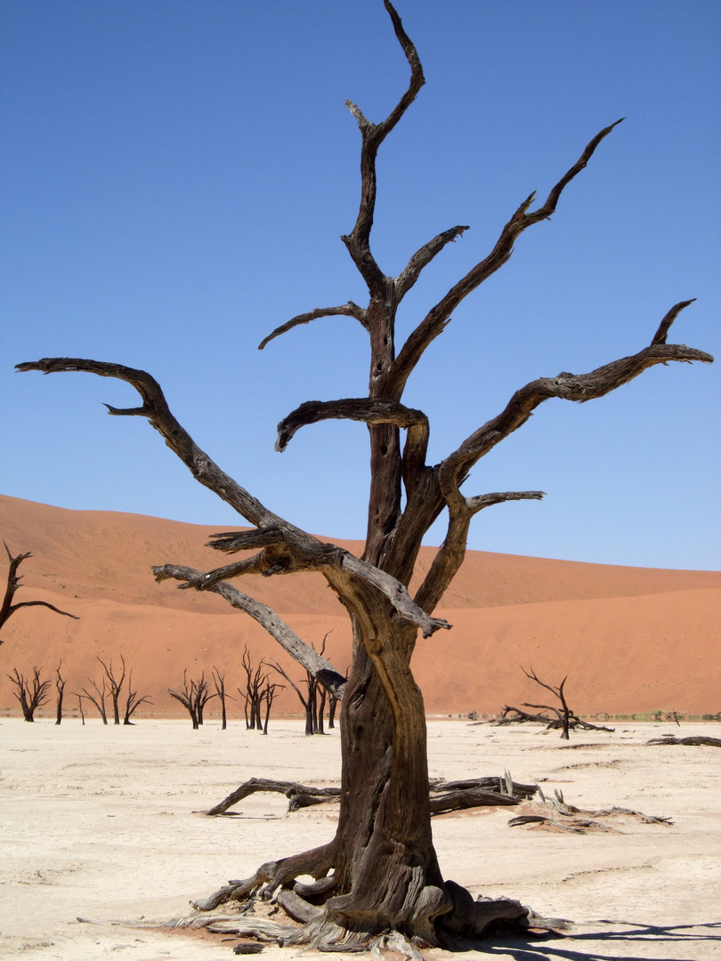 Deadvlei 2