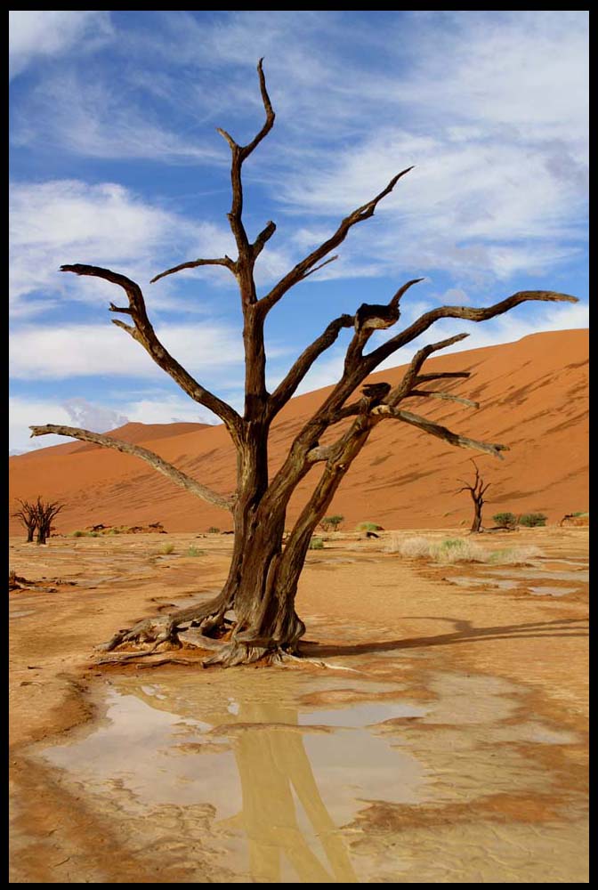 Deadvlei (2)