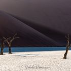 Deadvlei 2