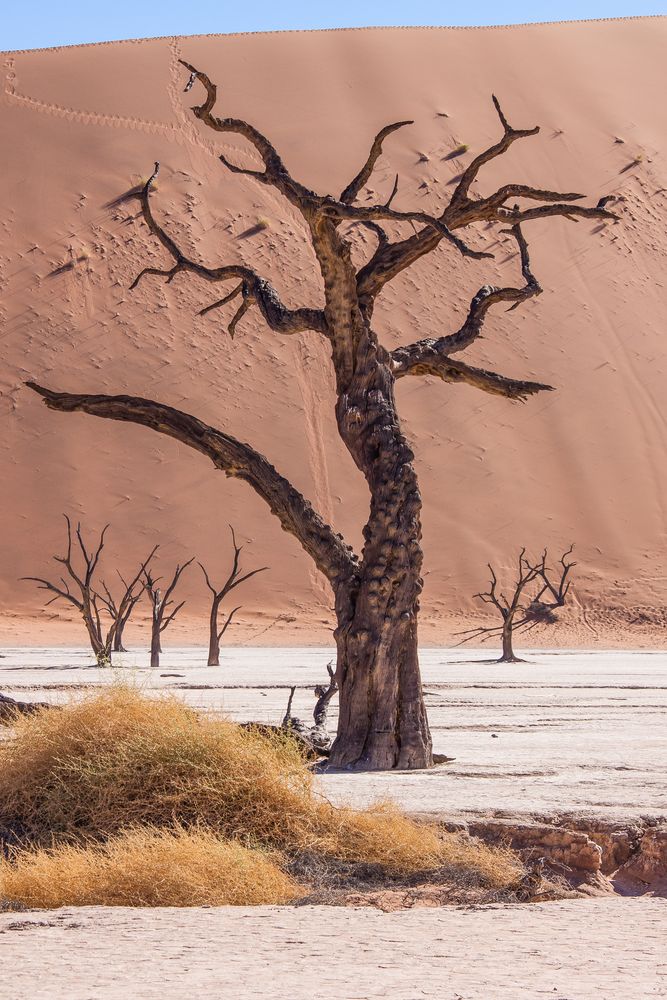 Deadvlei 2