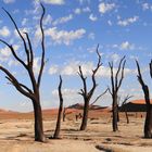 Deadvlei 2