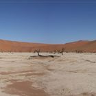 Deadvlei 2