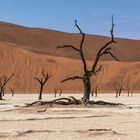 Deadvlei 2