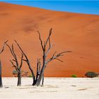 Deadvlei 2