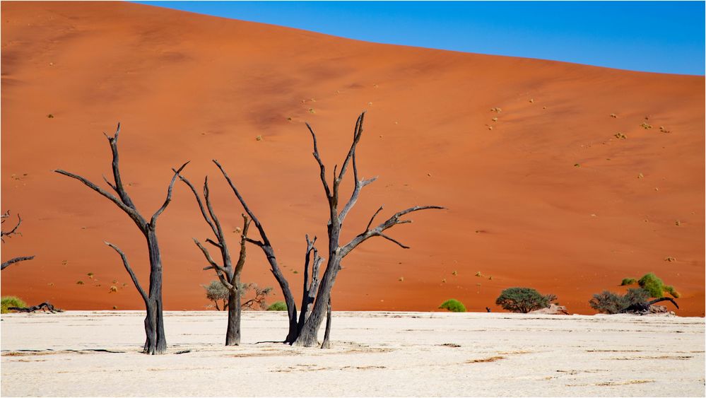 Deadvlei 2