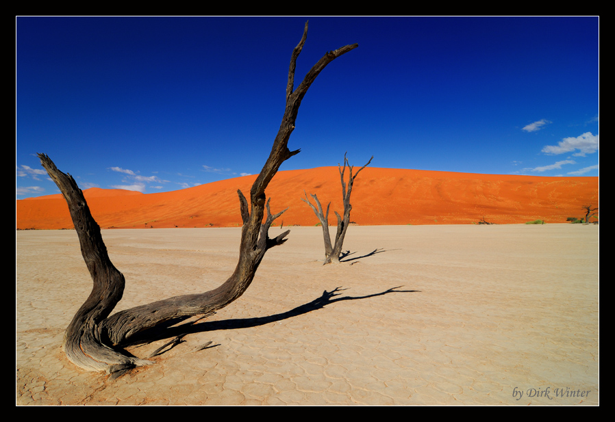 Deadvlei 2 II