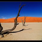 Deadvlei 2 II