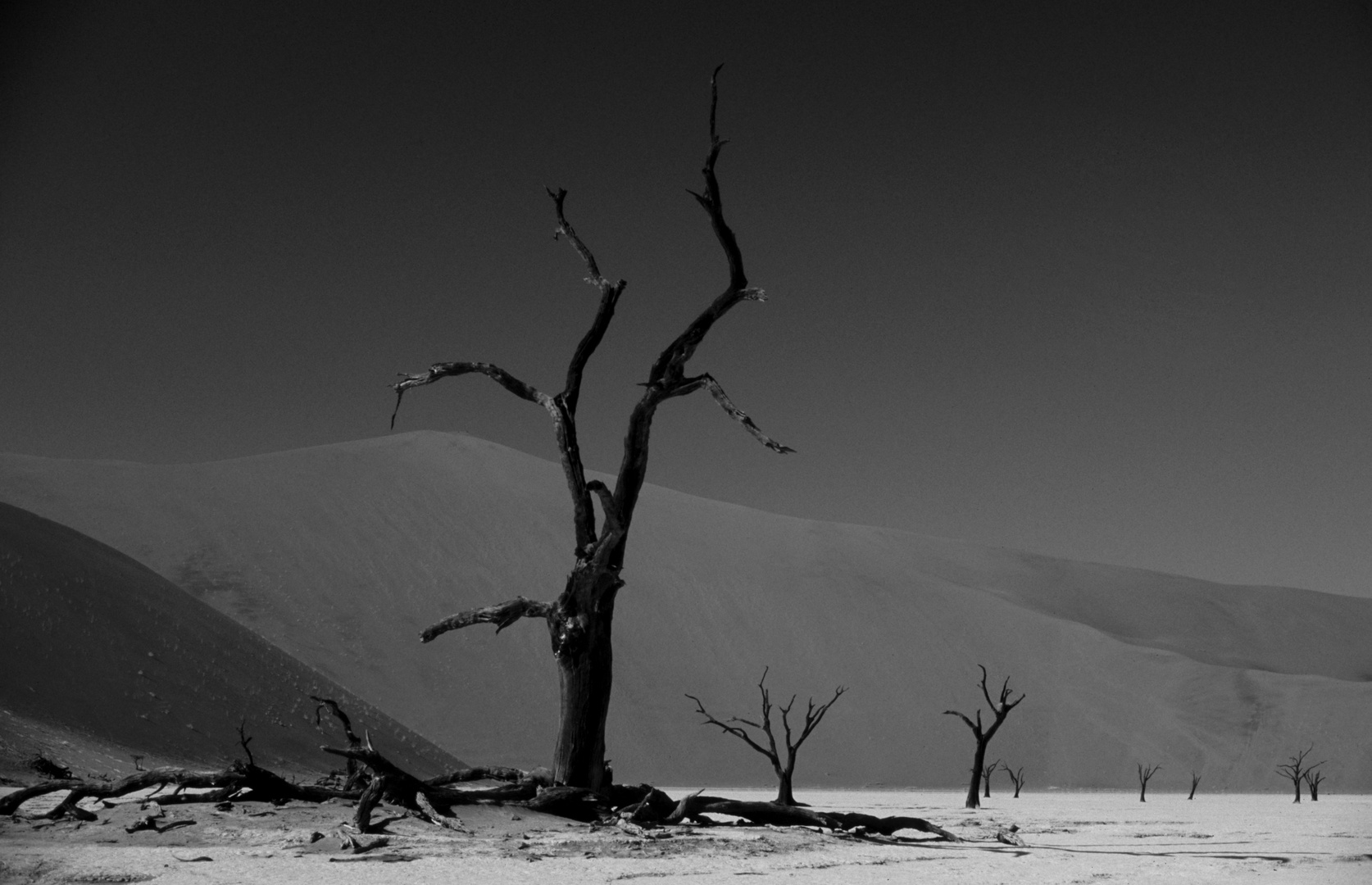 Deadvlei 2- Namibia