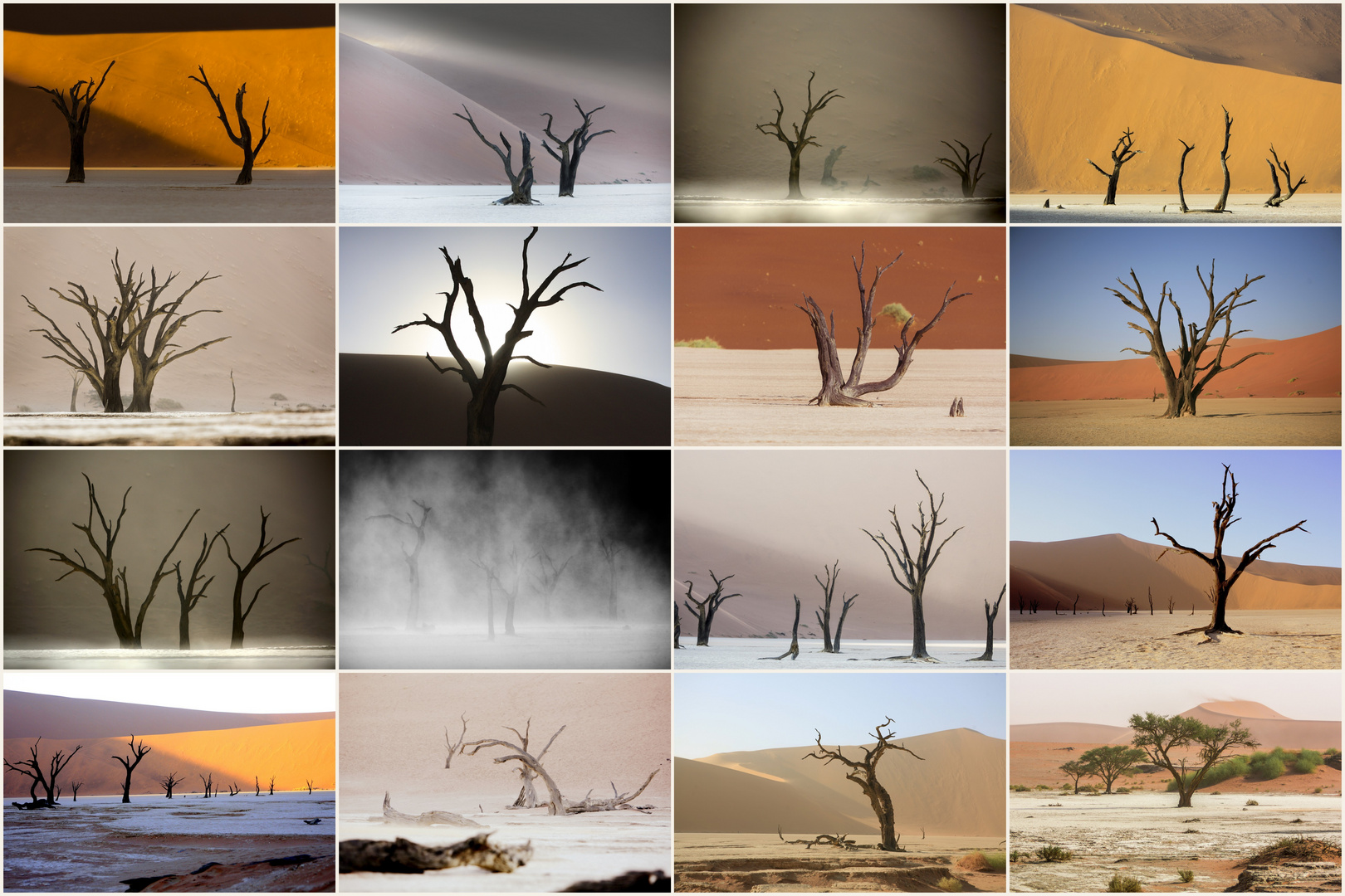 Deadvlei 2023